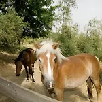 La Collina Dei Ciliegi Farmház