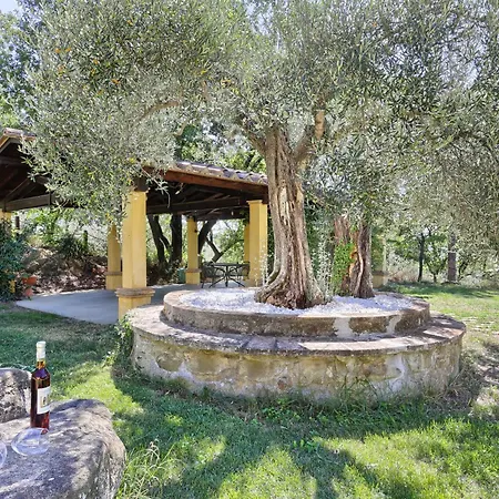 팜스테이 La Collina Dei Ciliegi